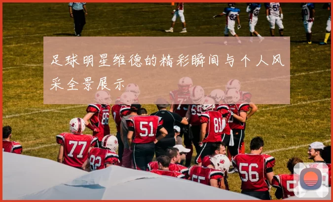 足球明星维德的精彩瞬间与个人风采全景展示