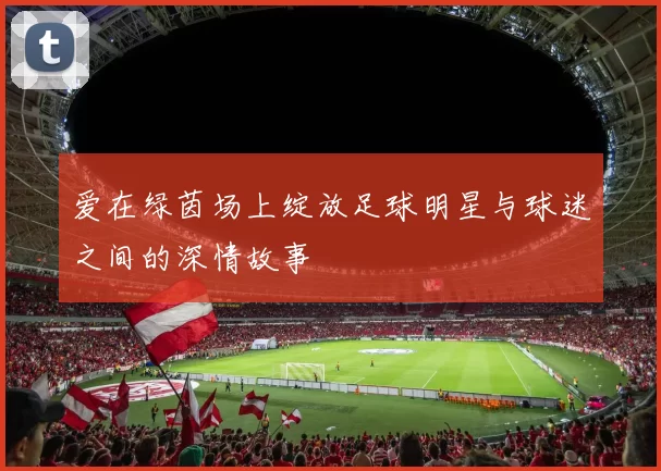 爱在绿茵场上绽放足球明星与球迷之间的深情故事