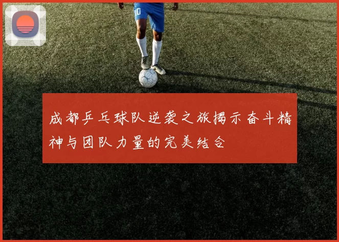 成都乒乓球队逆袭之旅揭示奋斗精神与团队力量的完美结合