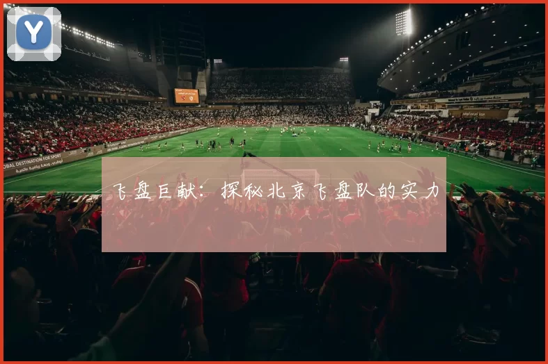 飞盘巨献：探秘北京飞盘队的实力