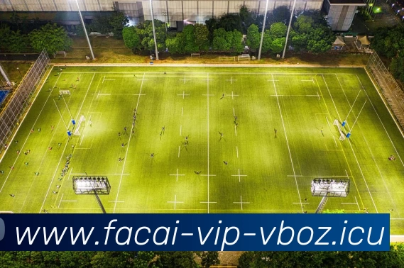 星空体育服务体系