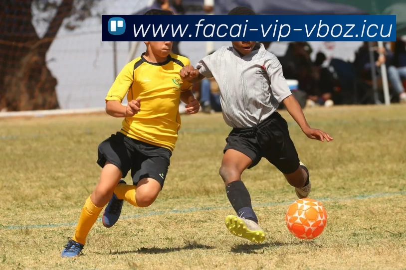 星空体育APP 体育赛事宣传图